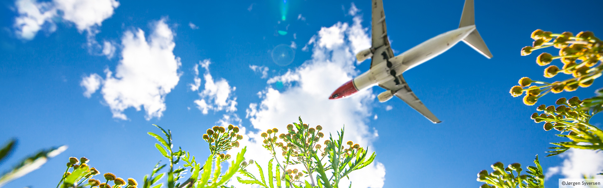 Un avion de la compagnie Norwegian volant au-dessus de fleurs vertes