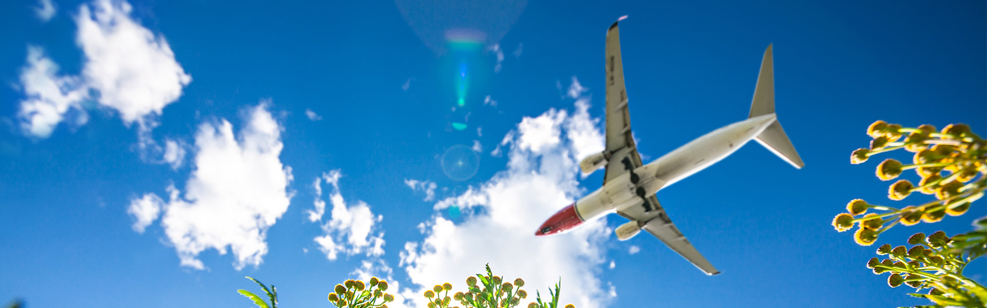 Un avion de la compagnie Norwegian volant au-dessus de fleurs vertes